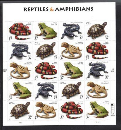 Reptiles And Amphibians Stamp