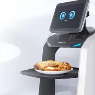LuckiBot Delivery Ai Robot Pro.